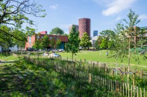 Tree-First-Slachthuisplein-Urban-Forest-Next-Step-Program-Editie-IV